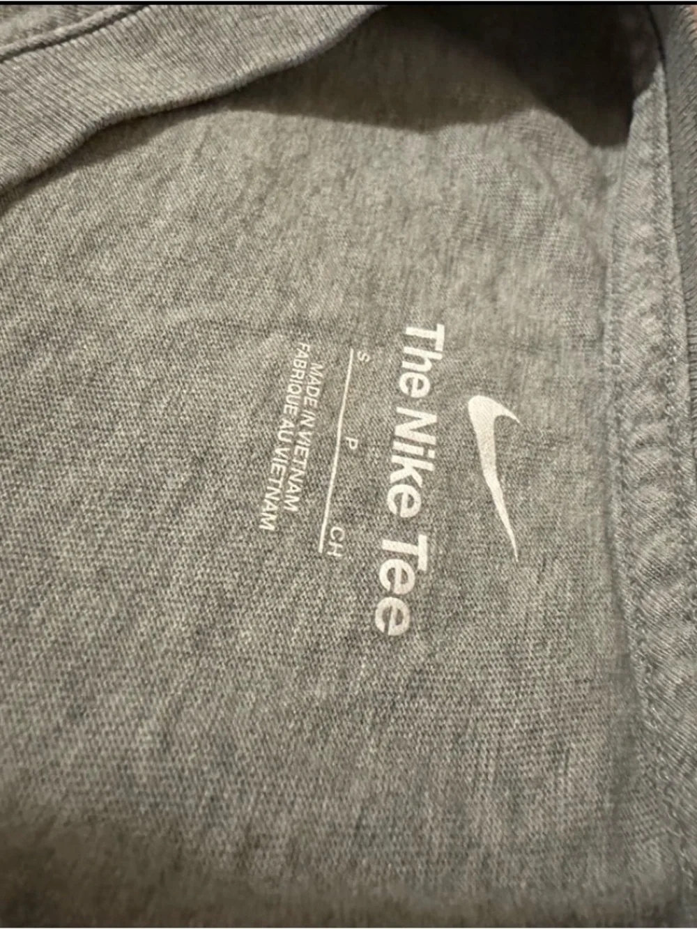 LeBron James grey t shirt “Lebronival”